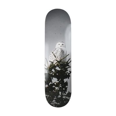 All I Need Skateboard Deck Trembley Snow Owl 8.1"