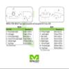 Meprolight Hyper-Bright Springfield XDM Green Ring/Green Fixed Pistol Sight Set (0414203111) view 4