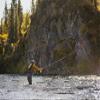 Cortland Indicator Fly Line, Fire Orange/Olive/Pale Yellow 90ft, WF6F view 4