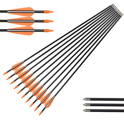 Archery Practice Fiberglass Arrows 24 Inch Target Shooting Safetyglass Recurve Bows Suitable for Youth Children Woman Beginner 12 PCS