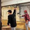 WICING Throwing Axes 2 Pack, 16.2-inch Throwing Tomahawks High Carbon Steel & Wooden Handle, for Axe Throwing Recreation and Competition view 4