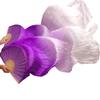 Silk Belly Dance Fan Dance 100% Real Silk Veils Left+Right Blue Colors Hot Salblack Purple Rose Orange! Figure21 S-120cm-1pair(2pcs) view 1