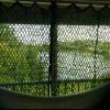 haojinmei Heavy Duty Camo Netting, Large Camouflage Netting Sunshade Mesh Net Cover, Outdoor Camping Hunting Blind Camo Net, for Military Theme Party Decoration (Size : 6X7m(20ft X 23ft)) view 4