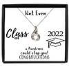 Graduation Gift for Daughter, Graduation Gift Class of 2022, School in Pandemic, Necklace for Graduation view 1