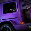 Horses Forever Infinity Decal Vinyl Sticker Auto Car Truck Wall Laptop | White | 8" Wide view 2