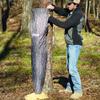 Moultrie 100 Lb Bag Feeder  Gravity-Fed Tree Hugger, No Batteries, Pine Bark Camo, Water-Resistant Fabric view 4