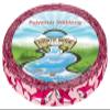 Country Brook Design - Pink Sharks Photo Quality Polyester (1/2 Inch, 50 Yards) view 1