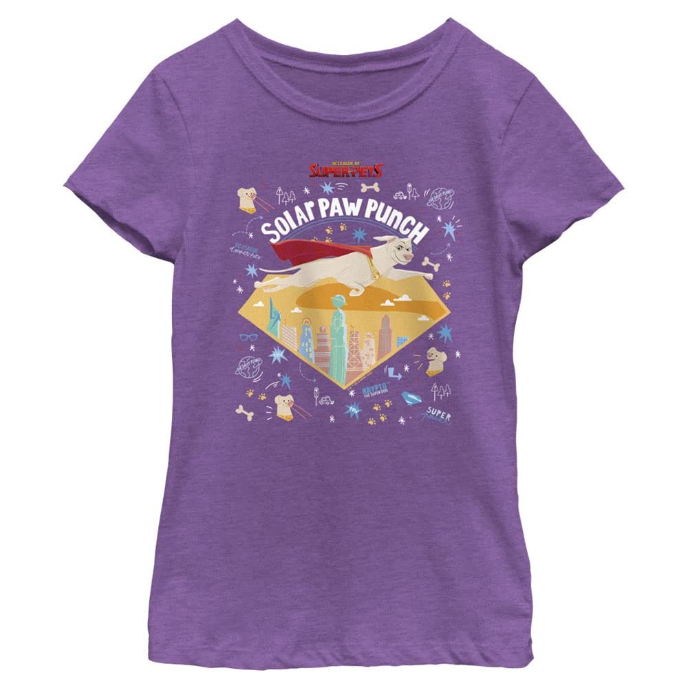 DC League of Super-Pets Girl's Krypto Badge T-Shirt, Pur Berry, X-Large