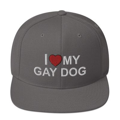 I Love My Gay Dog Owner Gift Funny Flatbrim Cap Flat Brim Snapback Hat Dark Grey