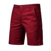 Men's Slim-Fit 5" Shorts Lightweight Outdoor Cargo Short Classic Stretch Chino Shorts Athletic Hiking Tactical Shorts Wine