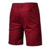 Men's Slim-Fit 5" Shorts Lightweight Outdoor Cargo Short Classic Stretch Chino Shorts Athletic Hiking Tactical Shorts Wine view 2