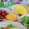 Dinner Plates 4 Portable Cutlery Box Picnic Supplies Outdoor Cutlery Set Combination Plates Camping Carrying Dinning Plate view 4