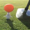 Squishtees Golf Tee Polar Bear 2 Pack Golf tee Polar Bear Foam tee That has Insertion for Traditional Golf tees. Used While Playing and Practicing Golf. Make Golf Fun! view 4