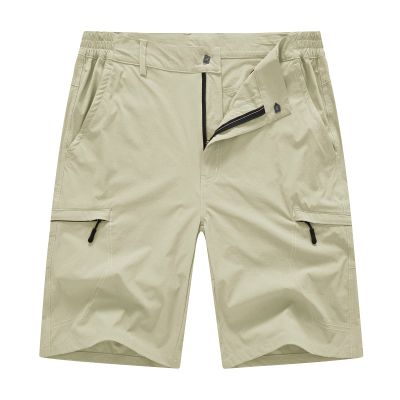 BASUDAM Men's Cargo Hiking Shorts Stretch Quick Dry Lightweight Work Shorts 6 Pockets for Camping Travel Beige 30