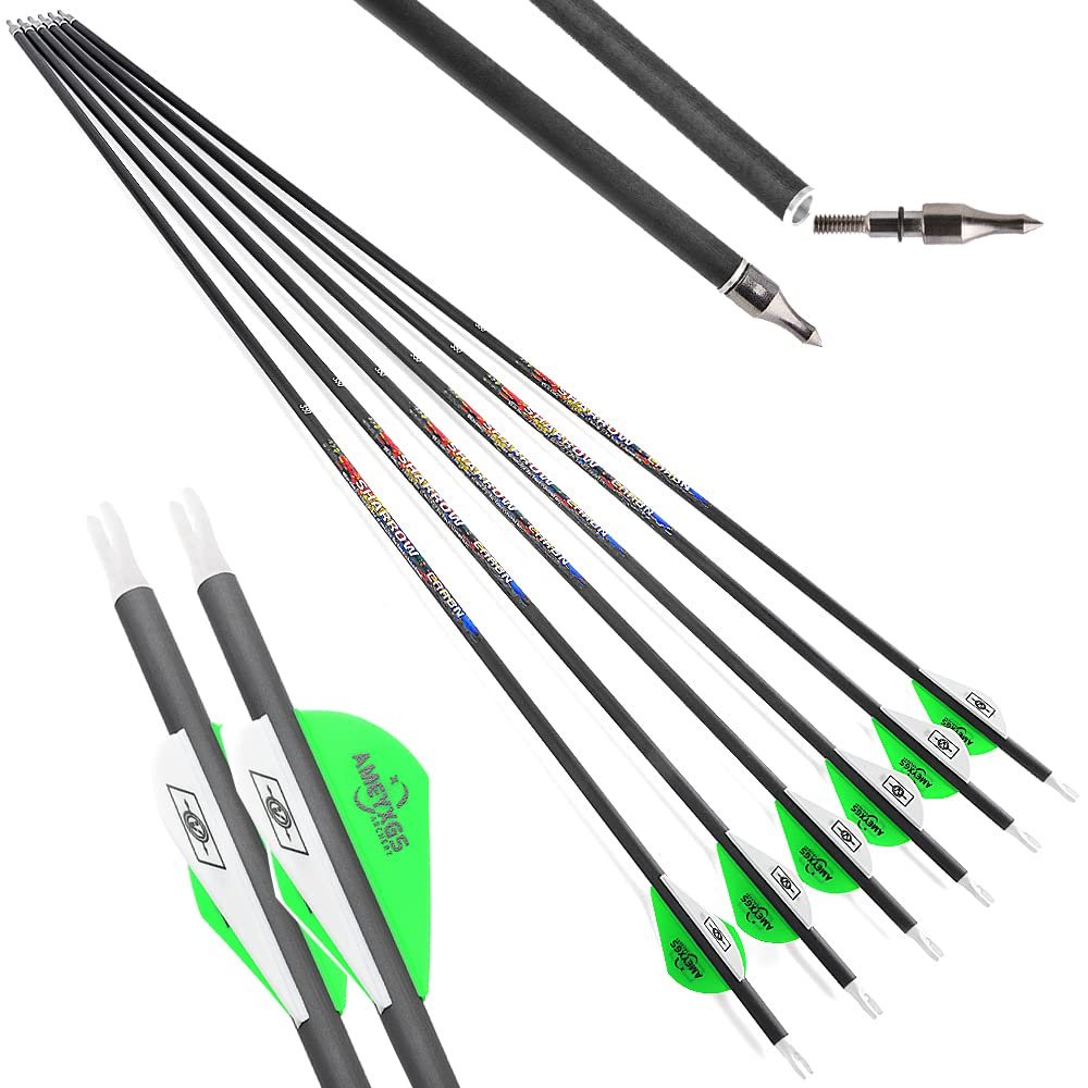 HNZMDY 31 inch Archery Pure Carbon Arrows Spine 250/300/350/400/500/600 Hunting Arrows with 2" Feather 100 Grain Replaceable Points Targeting Practice Arrows for Recurve Compound Bow (Spine 400, 12)