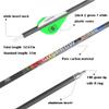 HNZMDY 31 inch Archery Pure Carbon Arrows Spine 250/300/350/400/500/600 Hunting Arrows with 2" Feather 100 Grain Replaceable Points Targeting Practice Arrows for Recurve Compound Bow (Spine 250, 12) view 4