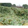 GGHBOY Camouflage Netting Bulk Roll Camo Netting Army Net Military Nets Lightweight Durable for Decoration Hunting Blind Sunshade Shooting Sunscreen Party Camping (Size : 2 * 4M(6.5 * 13.1ft)) view 4