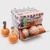 Smols - NBA Basketball Superstars - Collectible Vinyl Figures - Vinyl Figures Blind Boxes - Series 1 view 2