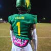 Battle Sports Novelty Football Back Plate  Hard Shell Lower Back Protector with Contoured Foam for High-Impact Protection - Youth, Money Man, Pink view 3