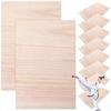 Homoyoyo 10PCS Martial Arts Breaking Boards for Beginners Kids 0.3cm Thin Wood Training Planks for Speed Accuracy Confidence Building in Taekwondo Karate Kung Fu view 1