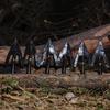 ARTIZANSTORE Hand-Forged Black Arrowhead broadheads Medieval Rustic Finish for Hunting Arrow Head view 4