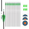 e5e10 31inch Carbon Arrow Archery Targeting Practice Hunting Arrows for Compound & Recurve Bow with Removable Tips(Pack of 12) (Green White) view 1