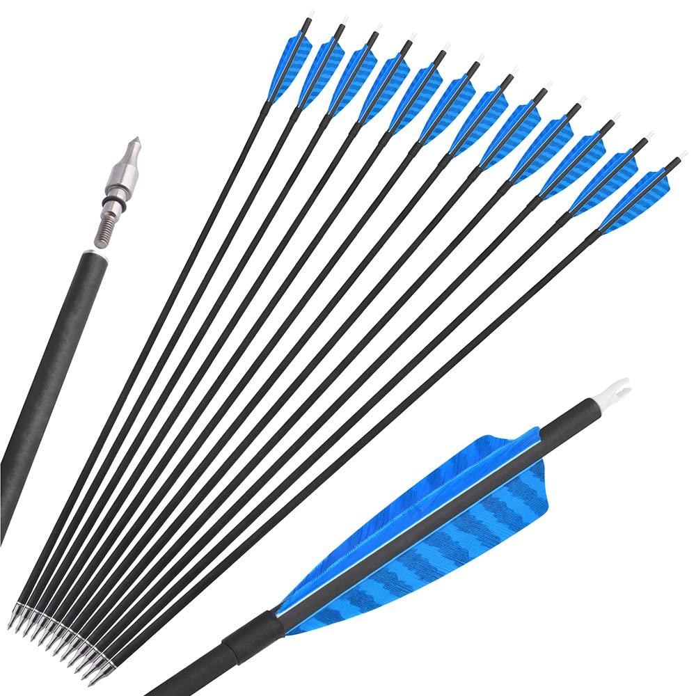 30 inch Archery Carbon Arrows Hunting Arrows with 4" Camo Feather Fletching 100 Grain Replaceable Points Targeting Practice Arrows Spine 500 for Recurve Bow Compound Bow Longbow (12 pcs, Light blue)