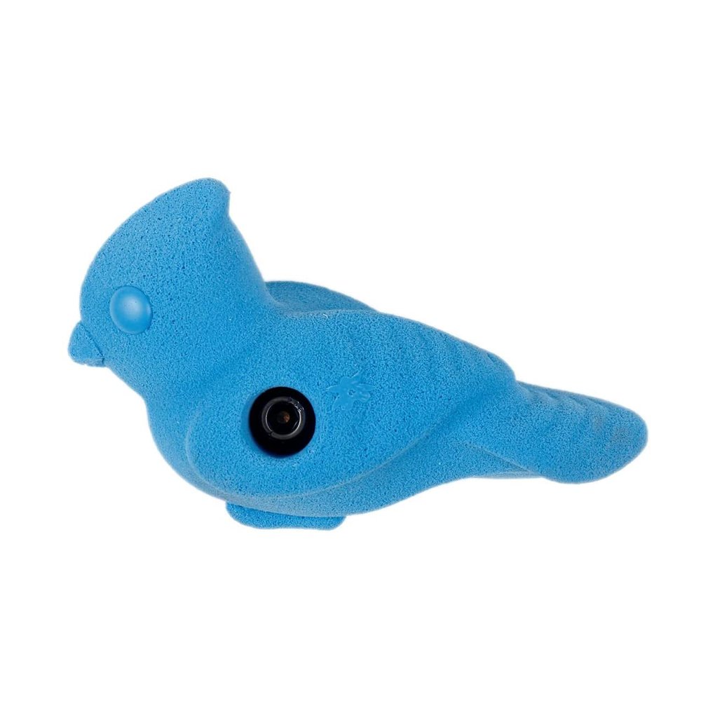 Atomik Rock Climbing Holds Blue Jay in Blue