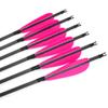 HNZMDY 30 inch Archery Pure Carbon Arrows Hunting Arrows with 4" Feather Fletching 100 Grain Replaceable Points Targeting Practice Arrows Spine 600 for Recurve Bow Compound Bow Longbow (12 pcs, Pink) view 4