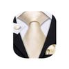 Barry.Wang Plain Men Silk Ties Extra Long Stain Necktie for Wedding Business Handkerchief Cufflinks Set Solid Colors view 1