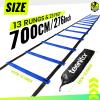 Teenitor Agility Ladders, 13 Rung Agility Ladder Speed Ladder Footwork Ladder with Carry Bag, Workout Ladder for The Ground Training Ladder view 2