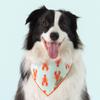 Paws Wishes Dog Bandana 4 Pack, All in One Set Holiday in Maine, Pet Friendly Design, Hair and Water Resistant, Adjustable Dog Scarf for Medium Boy Girl Dog view 2