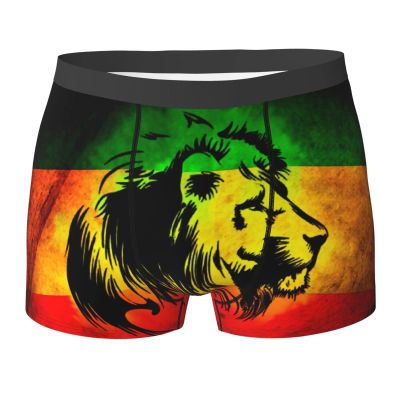 Ykklima Men's Boxer Briefs Underwear - Jamaican Lion Flag Pattern, Soft Comfort Breathable Underpants Medium Black