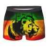 Ykklima Men's Boxer Briefs Underwear - Jamaican Lion Flag Pattern, Soft Comfort Breathable Underpants Medium Black view 1