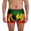Ykklima Men's Boxer Briefs Underwear - Jamaican Lion Flag Pattern, Soft Comfort Breathable Underpants Medium Black view 3