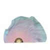 Silk Belly Dance Fan Veil Two Layers Short Fan Bamboo Dream Color Light Gradient Light Gradient for Chinese Folk Dance 36cm 40cm 2pcs Right Hand view 3