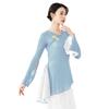 Chinese Ethnic Folk Dance T-Shirt Fairy Basic Training Wear Body Rhythm Women's Mesh Tops Sky Blue L view 1