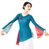 Chinese Ethnic Folk Dance T-Shirt Fairy Basic Training Wear Body Rhythm Women's Mesh Tops Light Pink XXL view 3