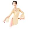 Chinese Ethnic Folk Dance T-Shirt Fairy Basic Training Wear Body Rhythm Women's Mesh Tops Light Pink XXL view 4