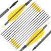 ZSHJGJR 30 Inch Pure Carbon Arrows 600 Spine Archery Hunting Arrows with Removable Tips Natural Feather Fletching Targeting Arrows for Compound & Recurve & Traditional Bow 6/12pcs (Yellow, 6) view 1