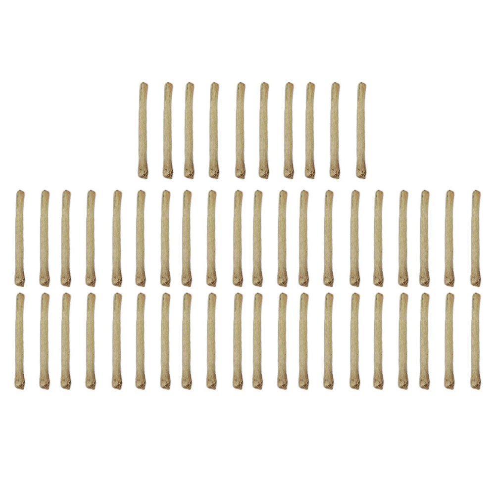 50pcs Tea Stem Ear Studs  Natural Ear Hole Curing Sticks for Women | Prevent Inflammation & Promote Healing  Safe & Lightweight