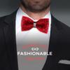 Man of Men Rhinestone Bow Ties for Men - Pre Tied Sequin Bowties with Adjustable Length - Huge Variety Colors Available (Jewels - Red) view 3