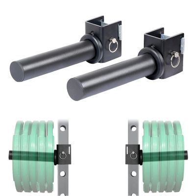 SYL Fitness Olympic Weight Plates Holder Power Rack Attachment Weights Storage Rack, Fit 2x2" Rack (All Hole Size)