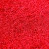 FANMATS 12905 NC State Mascot Rug view 3