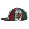 DARLEKS Mexico Flag Lion Flat Bill Brim Baseball Cap Cool Hip Hop Trucker Hat Men Women Adjustable Baseball Caps view 3