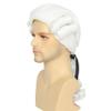 Yan Dream Men's White Classic Wig, 52cm/20.47 Inch, Curly, Heat Resistant, One Size Fits Most Adults and Teens view 4