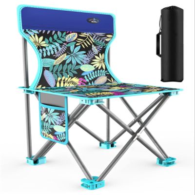Outdoor Chair Fishing Chair Outdoor Folding Chair Portable Stool Armchair Art Sketch Camping Chair with Storage Bag (Color : Blue, Size : Large)