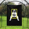 Baseball Backstop 4ft x 6ft Batting Cage Target Backdrop with Strike Zone for Baseball Softball Pitching Target Net Training Practice Tool (4ft x 6ft-Catcher) view 1