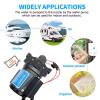 Sailingflo 12V Diaphragm Pump-7.0 GPM 60 PSI 5 Chamber with 1/2 Inch FNPT Ports Water Pressure Pump Marine, RV, Boat, Yacht, Mini Motor view 4