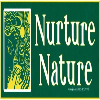 Nurture Nature Environmental Protection Large Car Bumper Sticker Locker Skateboard Window Decal 8.375-by-2.75 Inches (Vinyl Sticker)